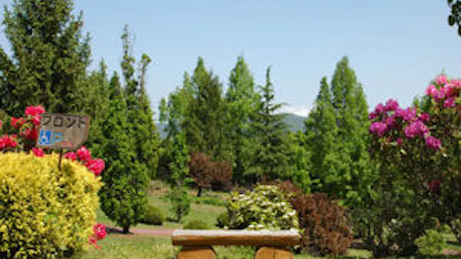 Schon Garten Omi