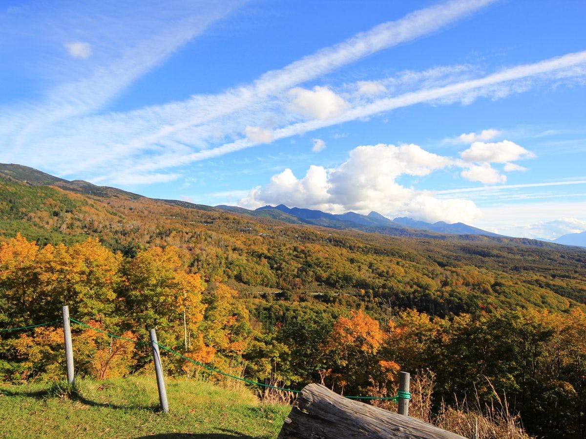 Titik pemandangan Venus Line (musim luruh)