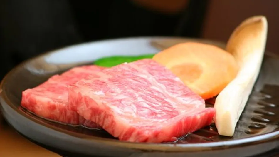 Relaxing Inn Tron Onsen Shinmei Sanso