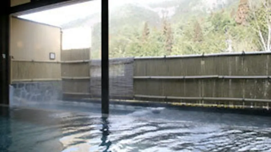 Relaxing Inn Tron Onsen Shinmei Sanso
