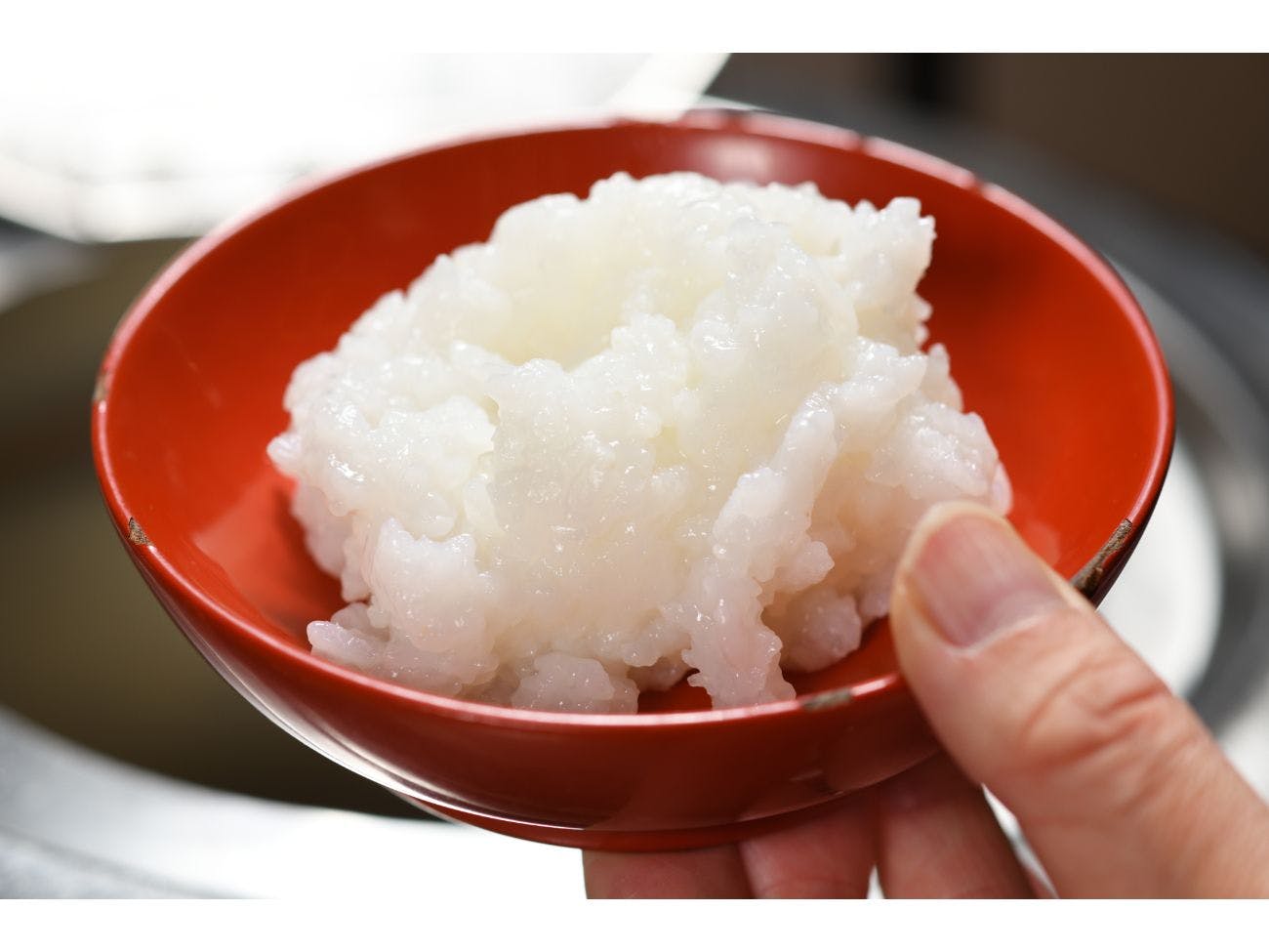 Iizaka Onsen Surikamitei Ootori