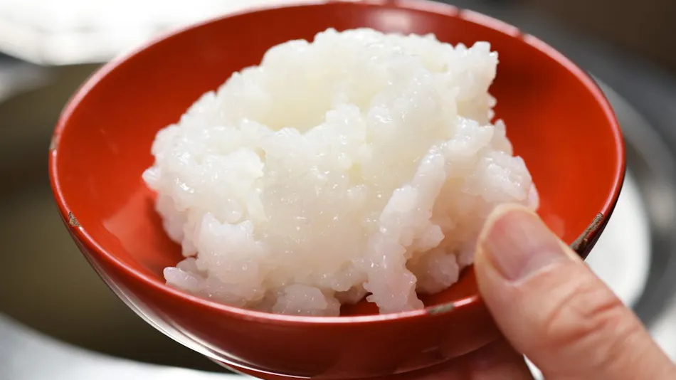 Iizaka Onsen Surikamitei Ootori
