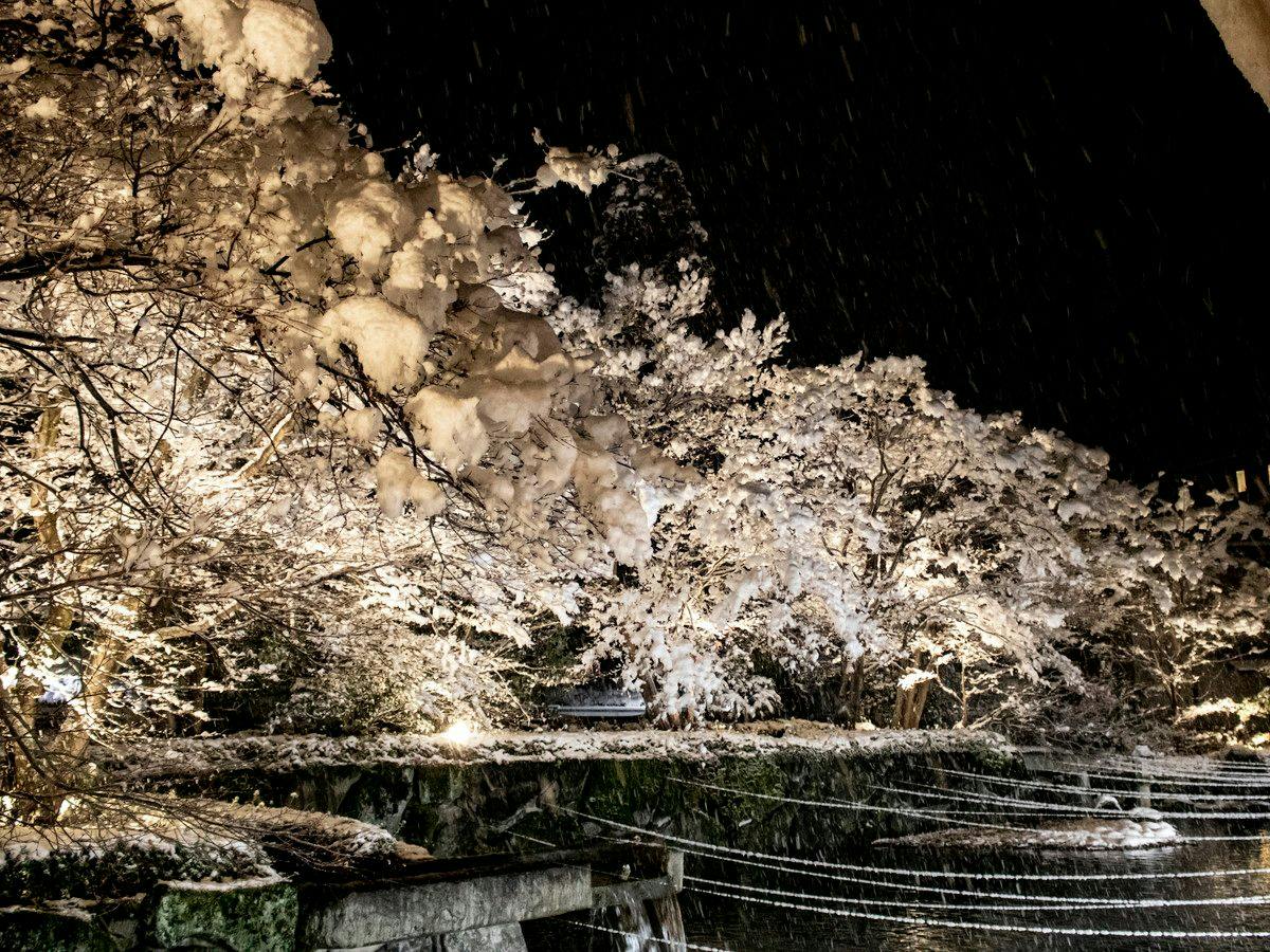 Iizaka Onsen Surikamitei Ootori