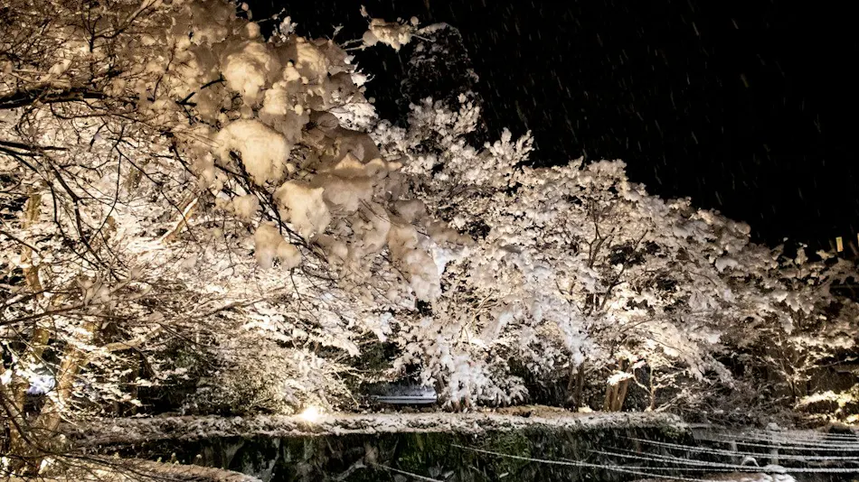 Iizaka Onsen Surikamitei Ootori