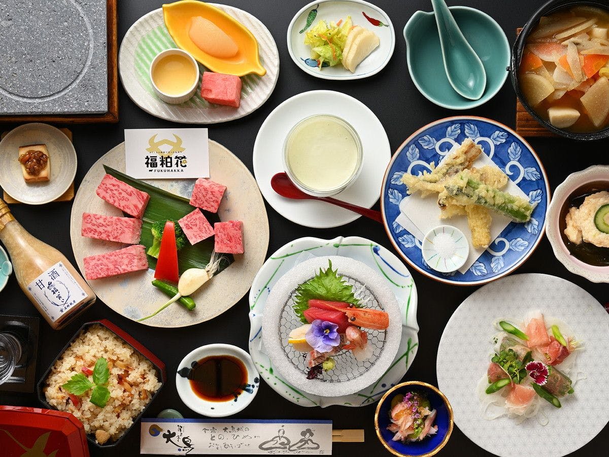 Iizaka Onsen Surikamitei Ootori