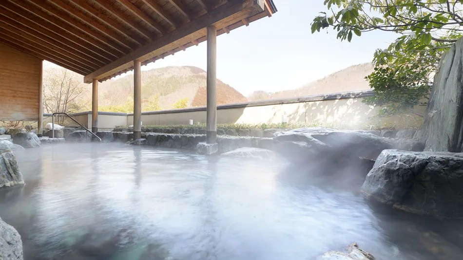 Iizaka Onsen Surikamitei Ootori