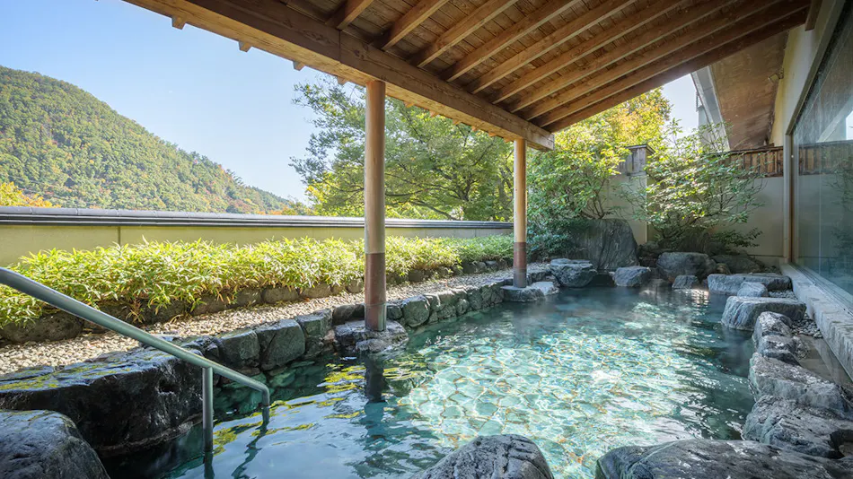 Iizaka Onsen Surikamitei Ootori