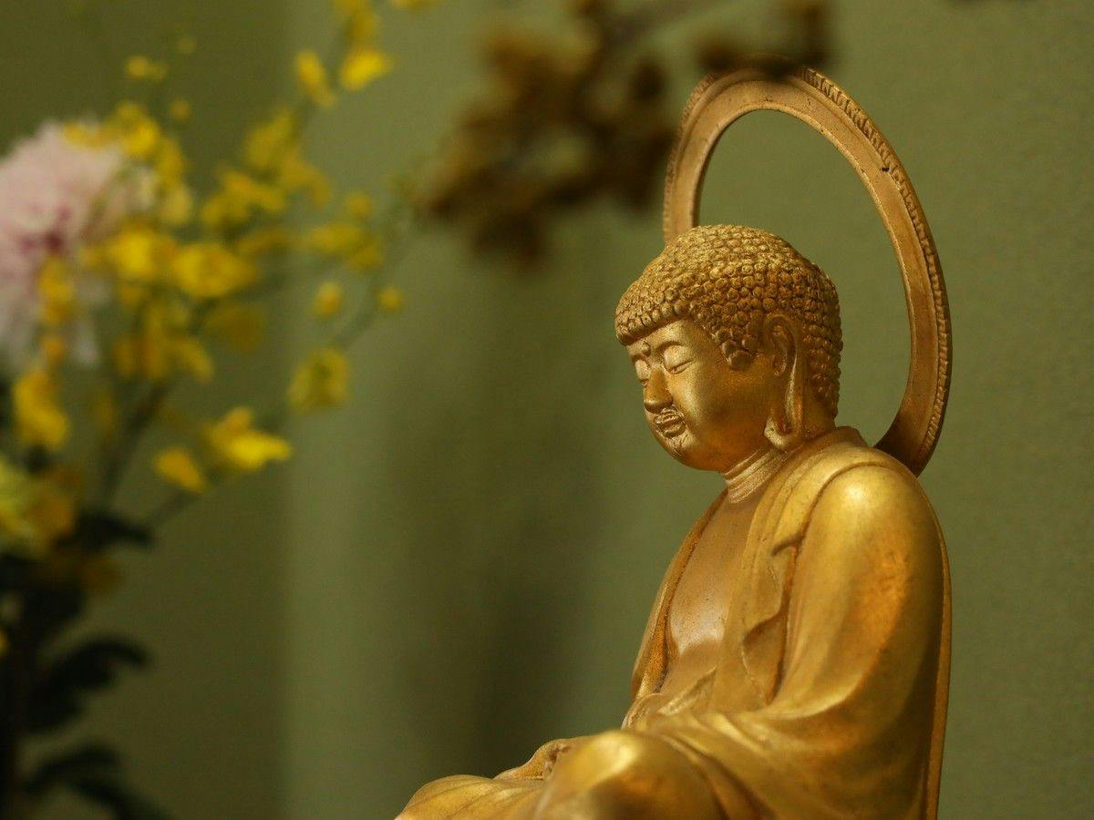 Daibutsu Ryokan