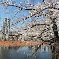 부닌지