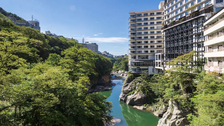 Kinugawa Plaza Hotel