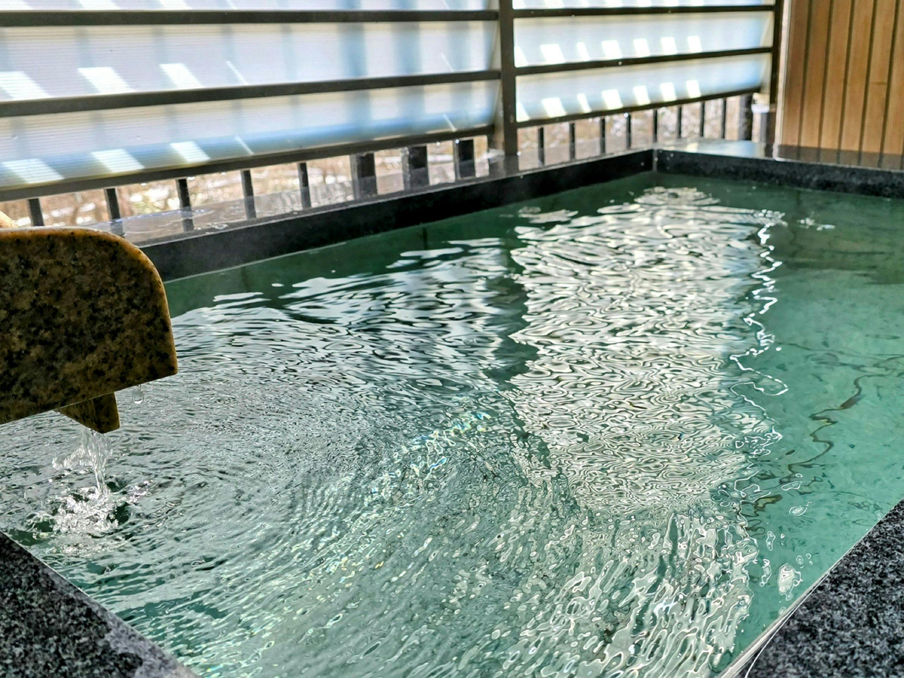 Kinugawa Plaza Hotel