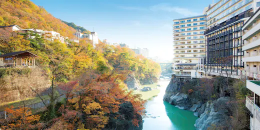 Kinugawa Plaza Hotel