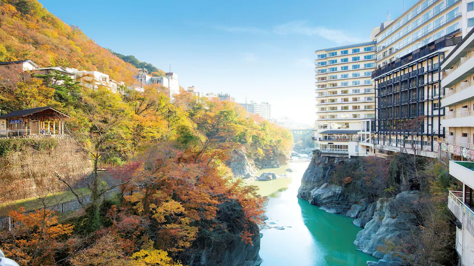 Kinugawa Plaza Hotel