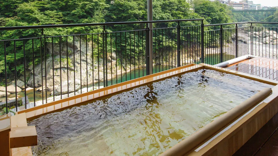 Kinugawa Plaza Hotel