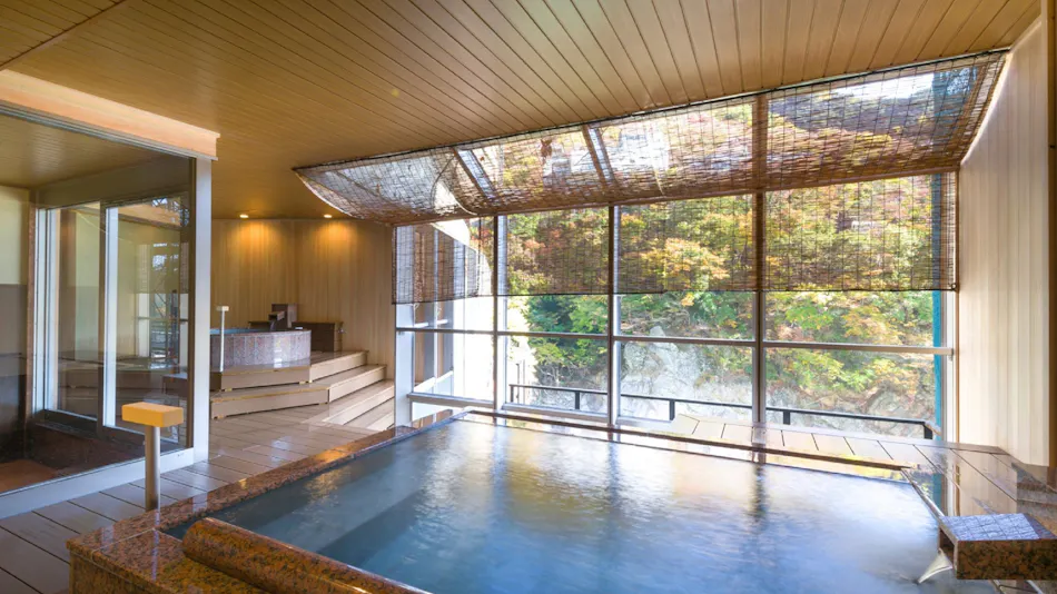 Kinugawa Plaza Hotel
