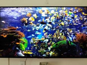 広島西条駅前ユースホステル