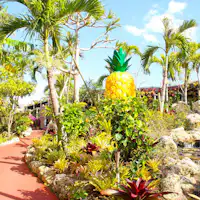 สวนสับปะรดนาโก♪ ประมาณ 10 นาทีโดยรถยนต์หรือรถบัส♪