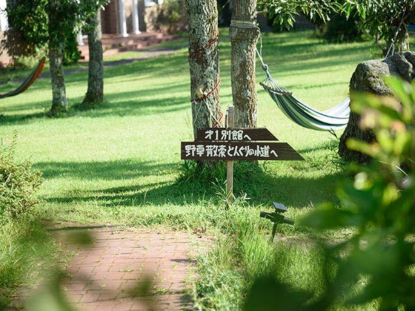 ป่าต้นโอ๊ก