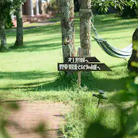 ป่าต้นโอ๊ก