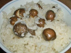 農家民宿　童仙房山荘