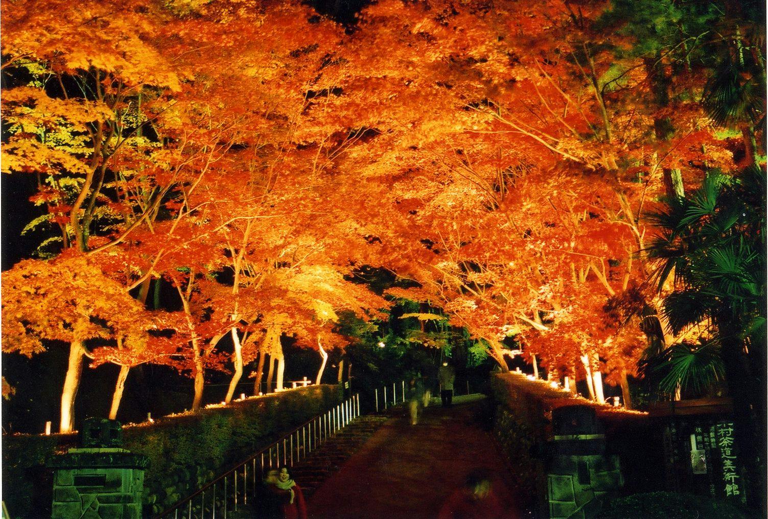 Kappo Ryokan ooya