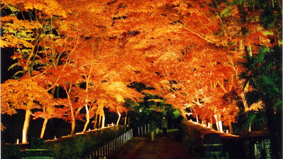 Kappo Ryokan ooya