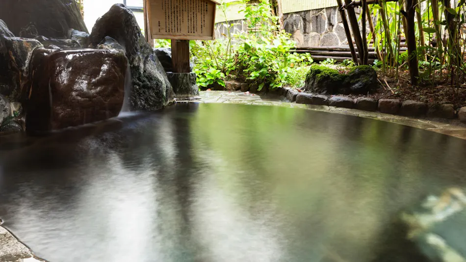 Otowaya Ryokan
