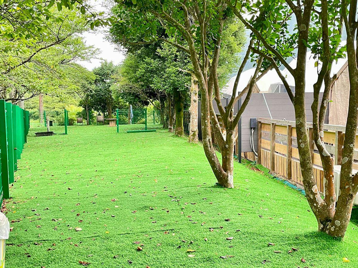 SPRINGS VILLAGE Ashigara・Tanzawa Onsen Resort & Glamping