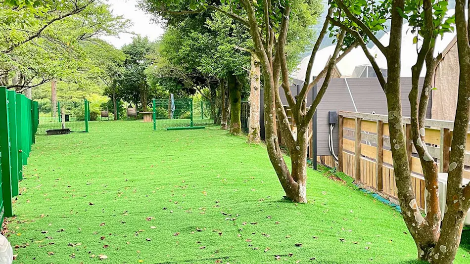 SPRINGS VILLAGE Ashigara・Tanzawa Onsen Resort & Glamping