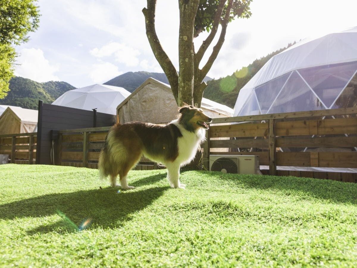 SPRINGS VILLAGE Ashigara・Tanzawa Onsen Resort & Glamping