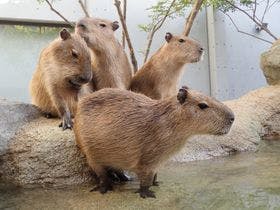 岐阜ワシントンホテルプラザ