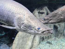 岐阜ワシントンホテルプラザ