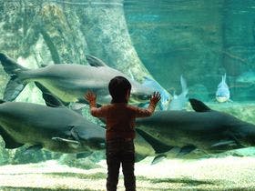 岐阜ワシントンホテルプラザ