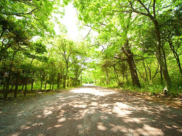 Dataran Tinggi Tsukahara
