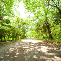 Dataran Tinggi Tsukahara