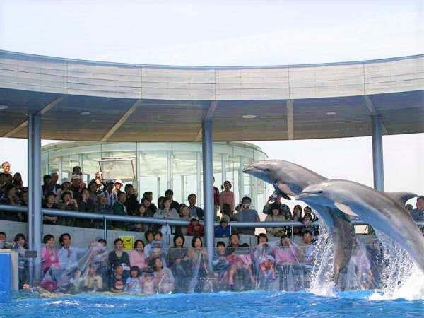 【Wisata Sekitar】Umitamago