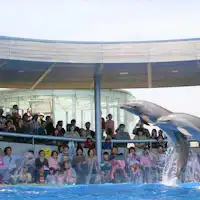 【Wisata Sekitar】Umitamago