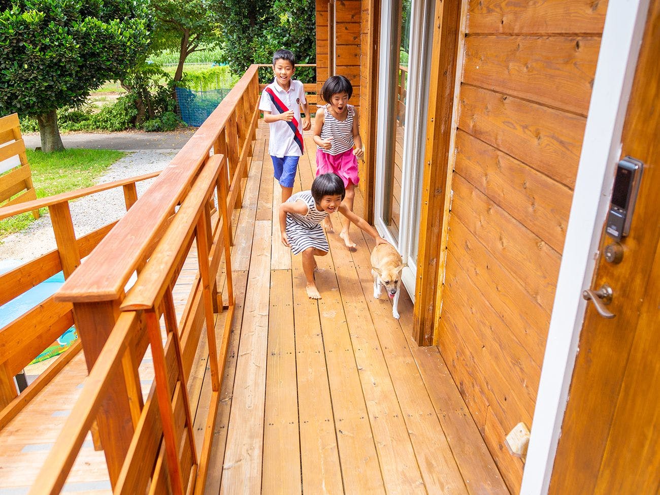 Dek kayu memungkinkan anjing bebas!