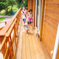 Dek kayu memungkinkan anjing bebas!