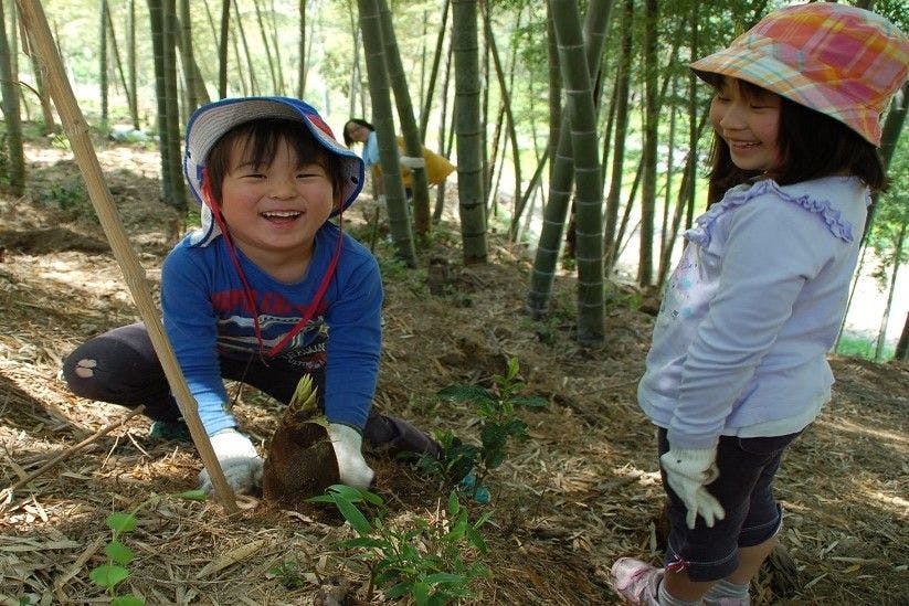 ประสบการณ์การขุดหน่อไม้เป็นเอกลักษณ์ของชนบทในฤดูใบไม้ผลิ!