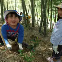 ประสบการณ์การขุดหน่อไม้เป็นเอกลักษณ์ของชนบทในฤดูใบไม้ผลิ!