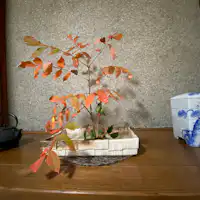 การเปลี่ยนแปลงของฤดูกาลในโทโคโนมะ!