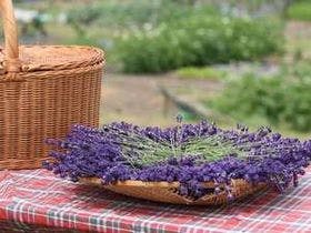 夢を呼ぶ憧れストーリー　アグリインホリデー　英国貴族の館