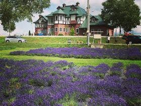 夢を呼ぶ憧れストーリー　アグリインホリデー　英国貴族の館