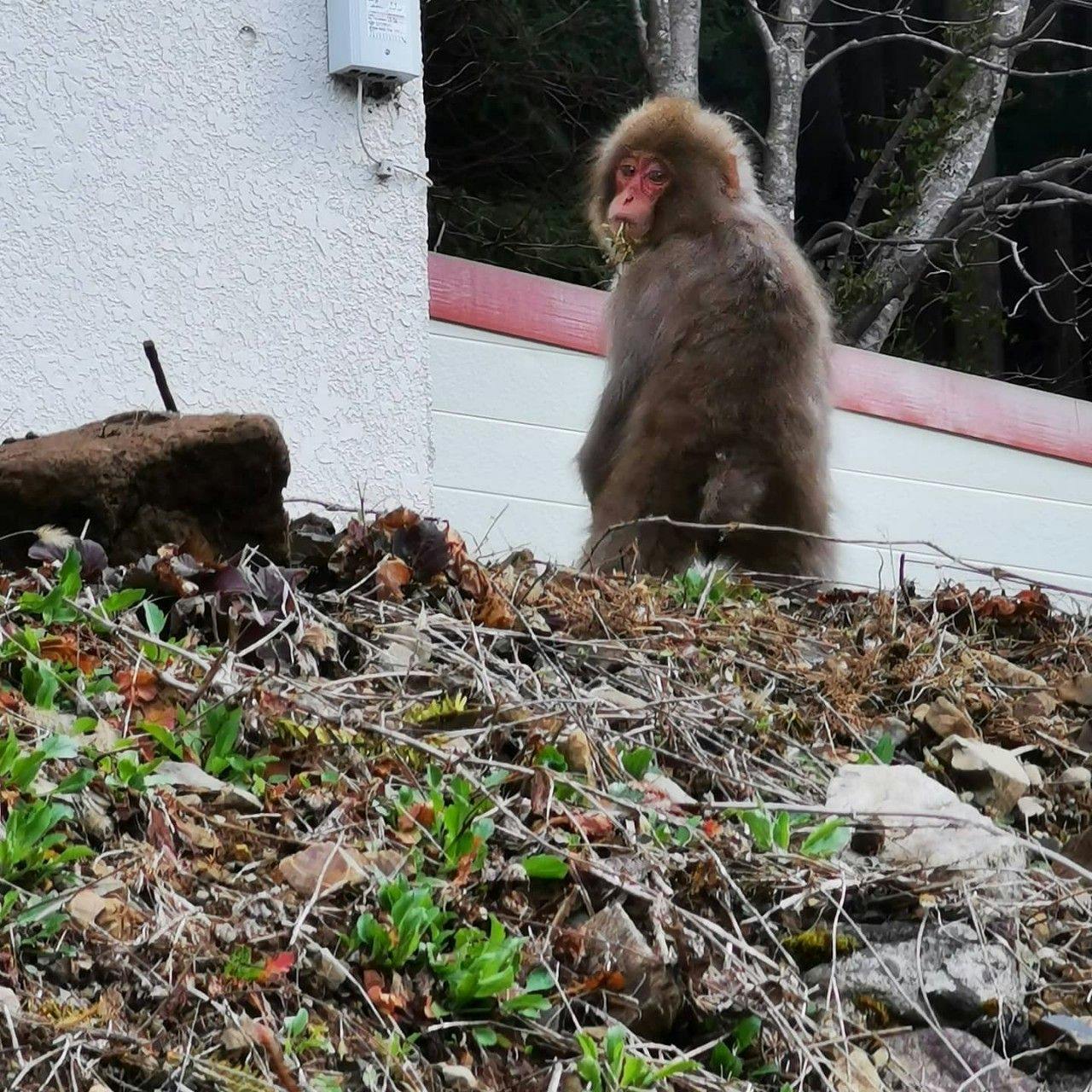 ลูกค้าน่ารักที่มาบ่อยๆ