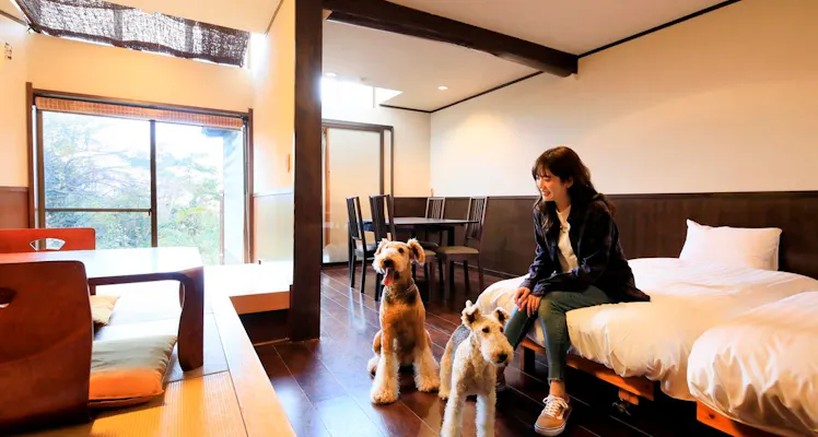 南伊豆 下田 のペットokのお部屋 安く泊まれるホテル 旅館 9選 お得に宿泊予約 Yahoo トラベル 南伊豆 下田 のペットokのお部屋 安く泊まれるホテル 旅館 9選 お得に宿泊予約 Yahoo トラベル