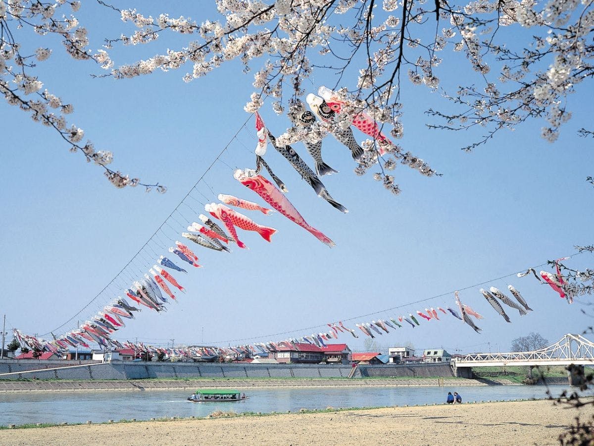 จุดชมวิวซากุระ (Zenkoshiji)