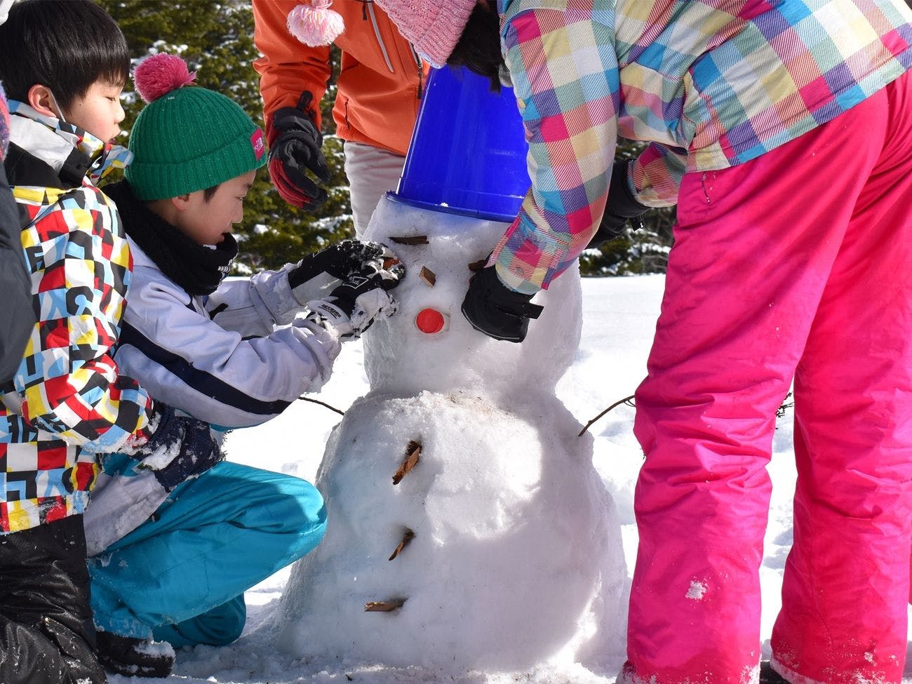 คำแนะนำสำหรับฤดูหนาวคือ "เล่นหิมะ"
