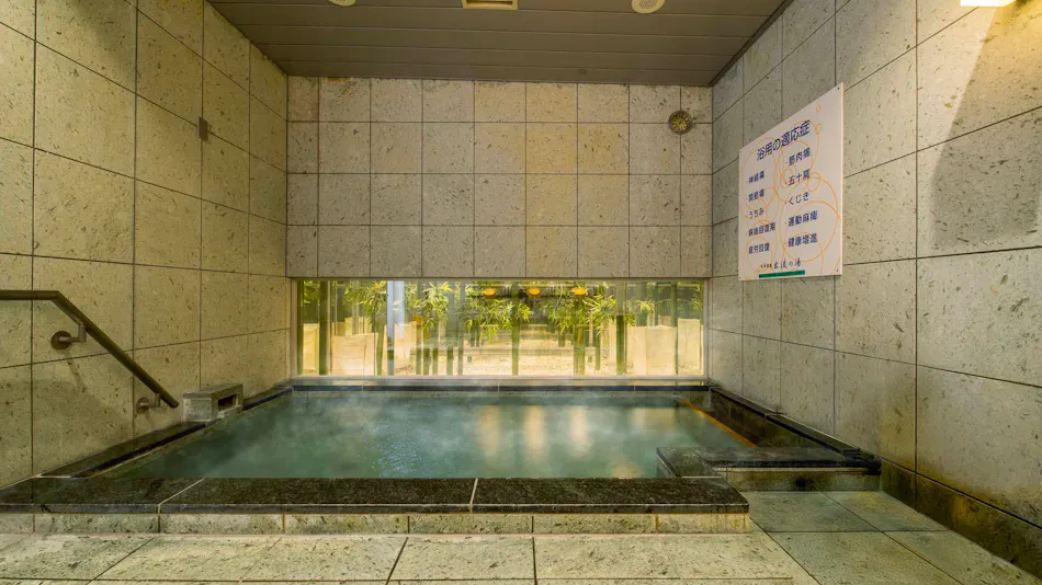 Natural Hot Spring Izuru no Yu Super Hotel Oyama