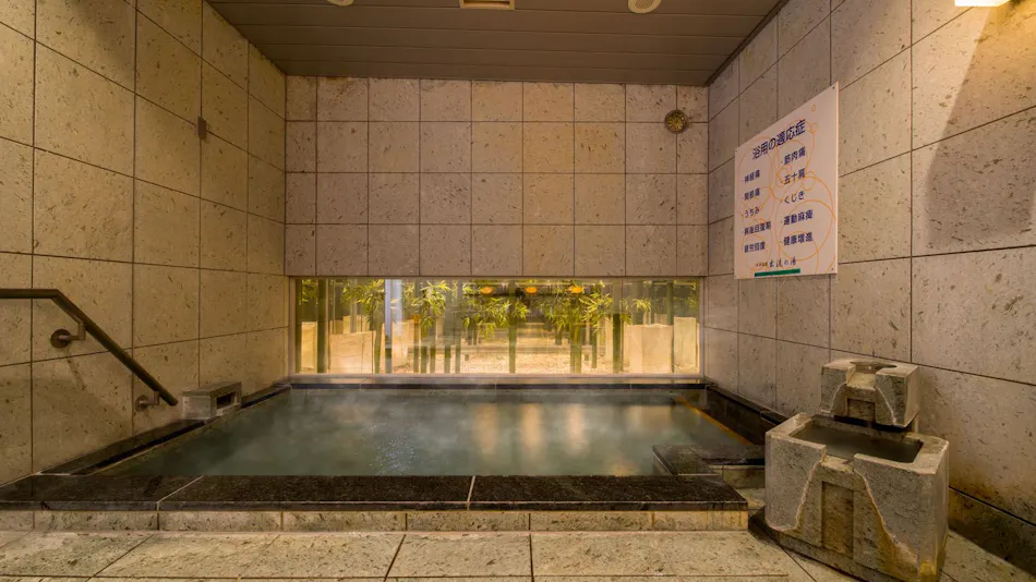 Natural Hot Spring Izuru no Yu Super Hotel Oyama